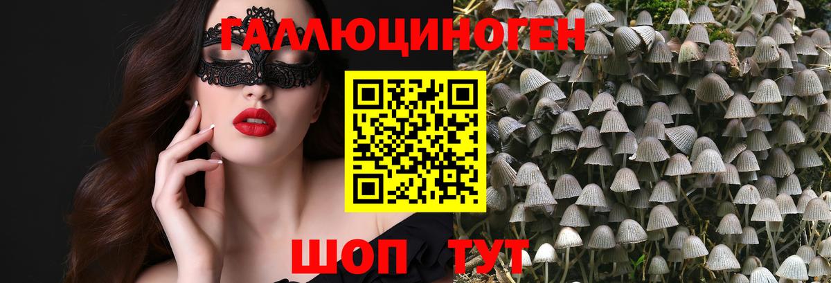 Псилоцибиновые грибы мицелий  Вход с VPN  Псилоцибиновые грибы Psilocybine cubensis  Ишим 